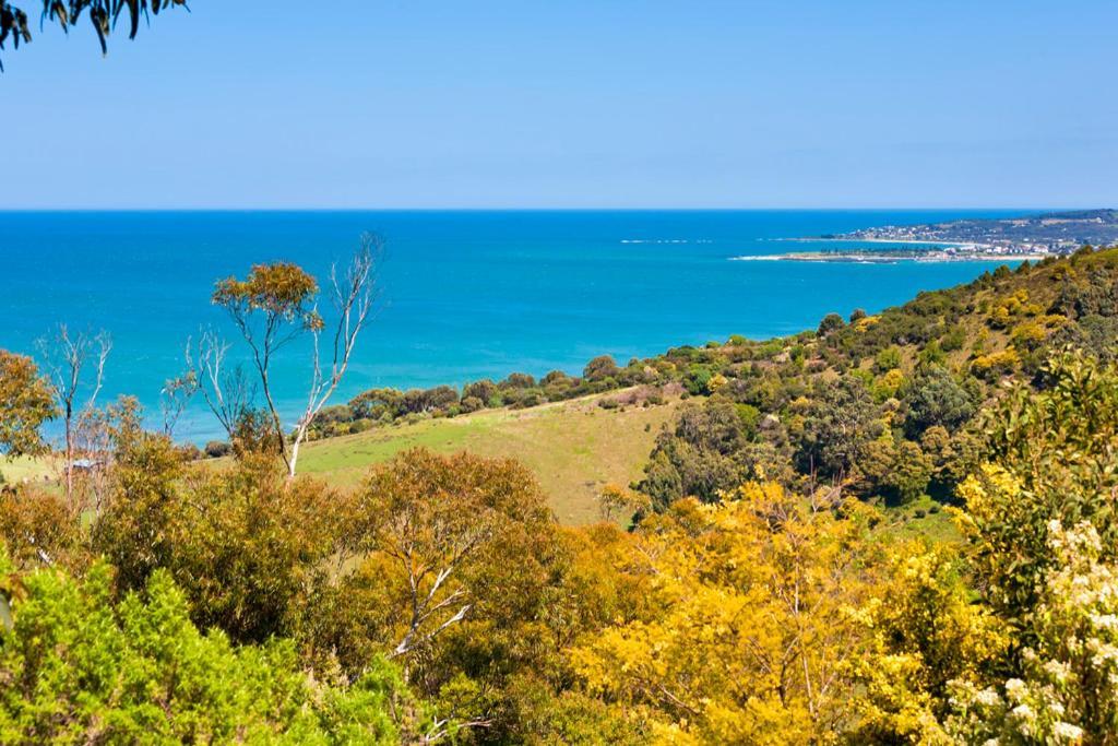 Beacon Point Ocean View Villas Skenes Creek Екстер'єр фото